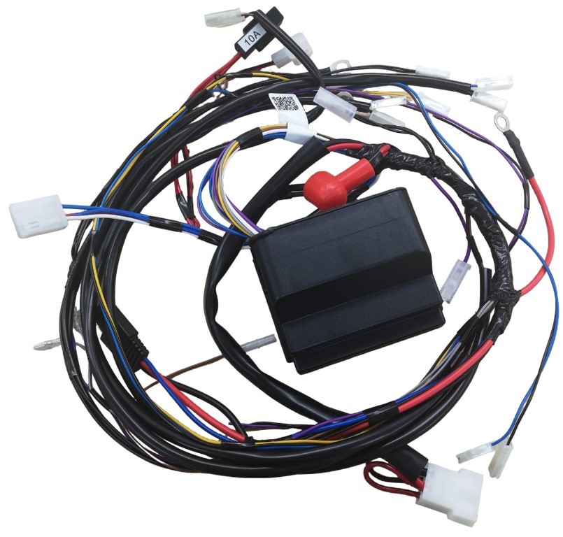 Stiga Pc Board + Wiring Loom Assembly