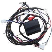 Stiga Pc Board + Wiring Loom Assembly