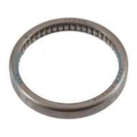Echo Bearing. Needle
