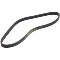 Stihl Multi-rib belt 998 LB