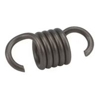 Stihl Clutch spring