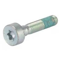 Stihl Spline screw IS-M5x25-10.9