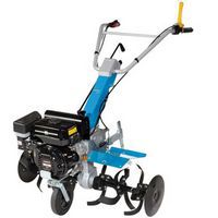 Bertolini 215 (EN 709)