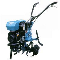 Bertolini 211