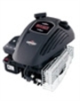 Briggs & Stratton 550 Series Engines (10T8)