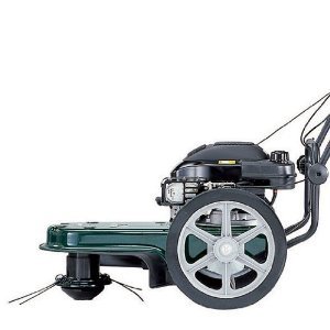 Hayter Powertrim