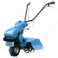 Bertolini 213