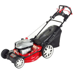 LR 55 4-IN-1 CAT 2010 B&S Lawnmower